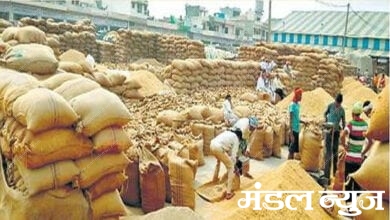 grain-amravati-mandal