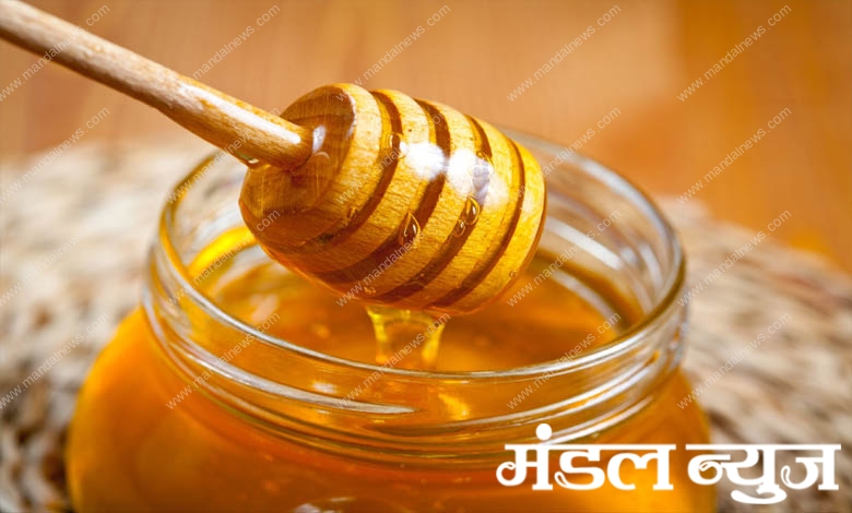 honey-amravati-mandal