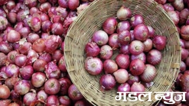 onion-amravati-mandal