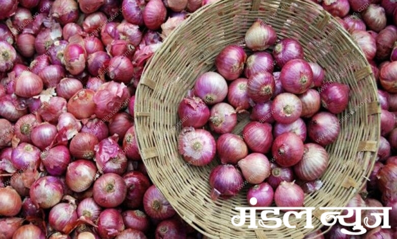 onion-amravati-mandal