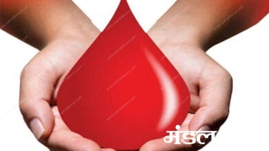 Blood-Donation-amravati-mandal