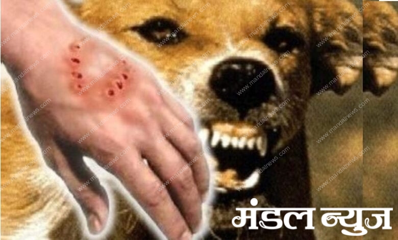 Dog-Bite-amravati-mandal