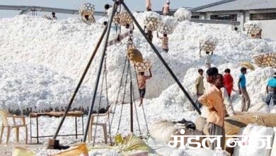 Cotton-Purchased-amravati-mandal