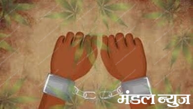 Hemp-arrested-amravati-mandal