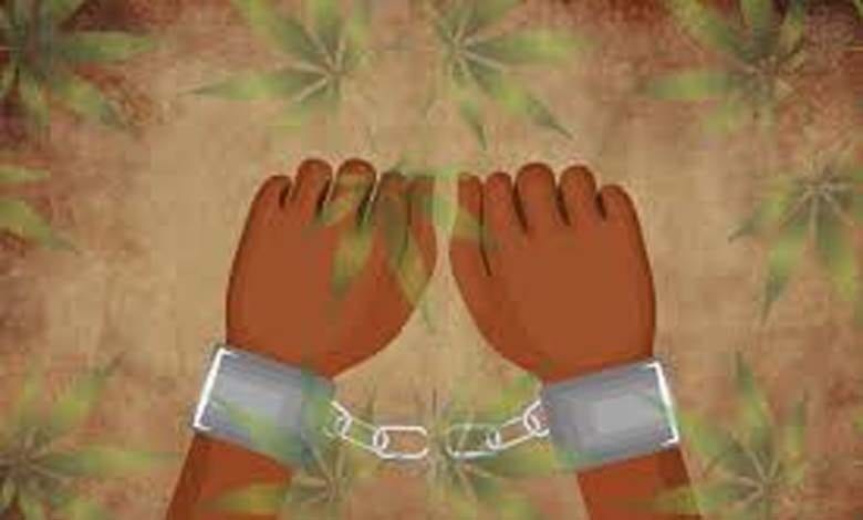 Hemp-arrested-amravati-mandal