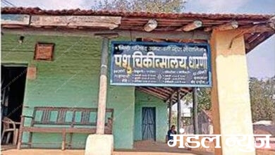 animal-treatment-amravati-mandal