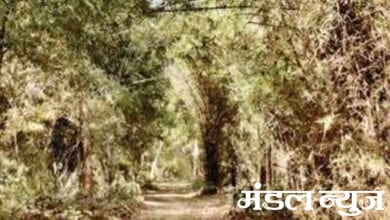 Forest-tourism-amravati-mandal