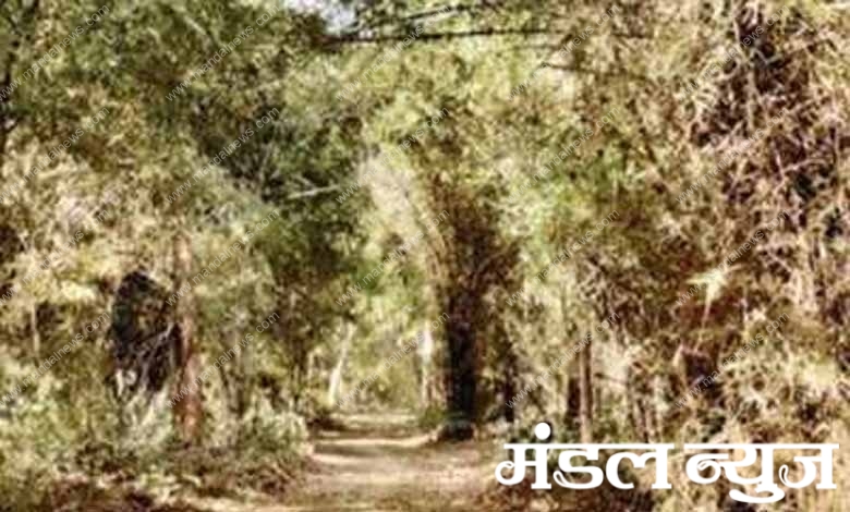 Forest-tourism-amravati-mandal