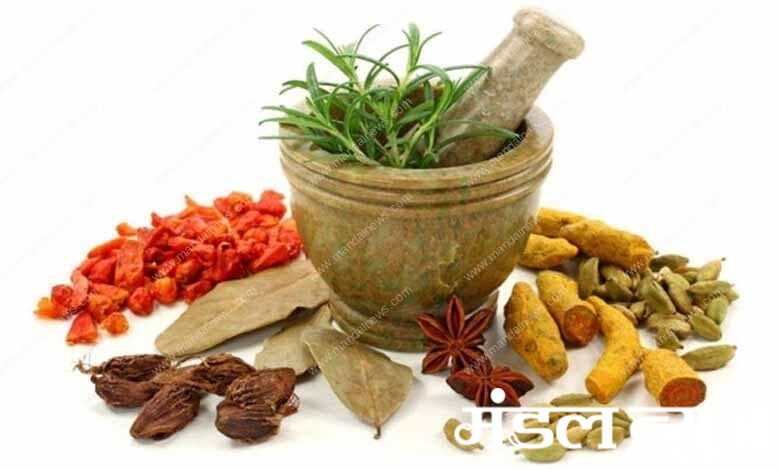 Ayurveda-and-Siddha-Medicine-amravati-mandal