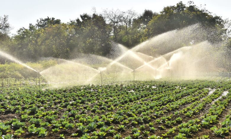 photo-caption-amravati-mandal