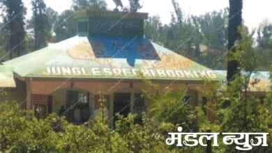 jungle-safari-amravati-mandal