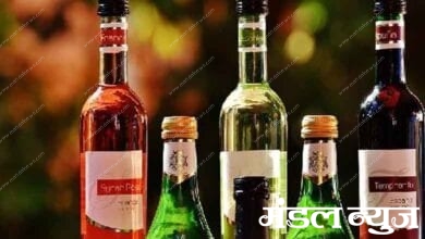 Illegal-liquor-sale-amravati-mandal