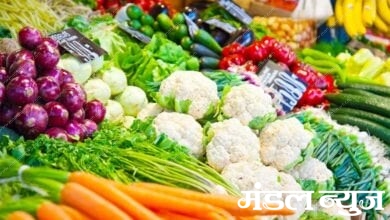 Vegetables-amravati-mandal