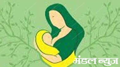 Pregnant-women-amravati-mandal