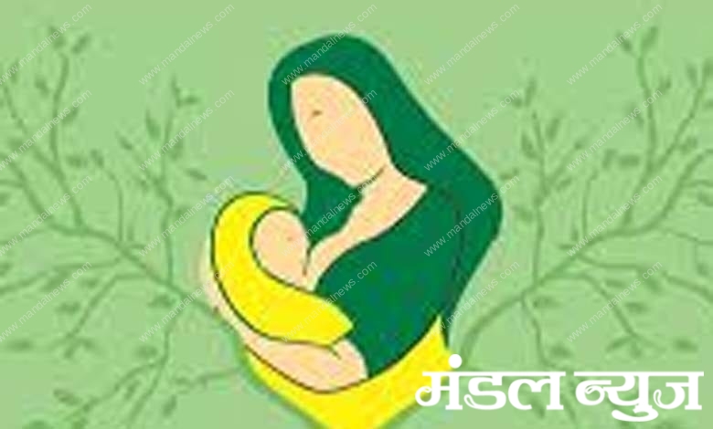 Pregnant-women-amravati-mandal