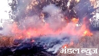 Chirodi-forest-fire-amravati-mandal