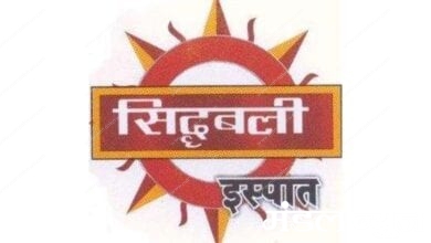 Siddhbali-Ispat-Company-amravati-mandal