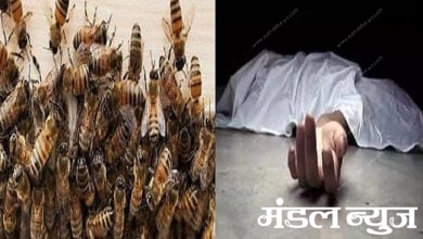 Bee-Attack-Amravati-Mandal