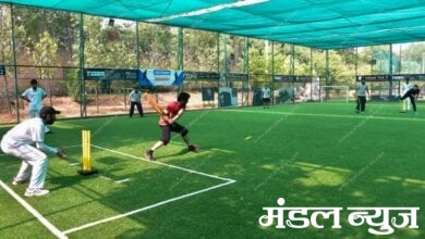Box-Cricket-Amravati-Mandal