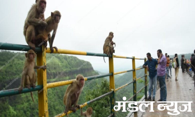 Chikhaldara-Amravati-Mandal