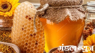 Honey-Amravati-Mandal