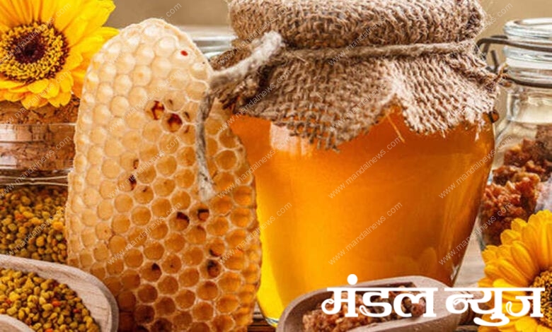 Honey-Amravati-Mandal