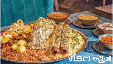 biryani-amravati-mandal