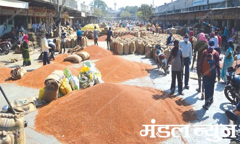 cotton-market-amravati-mandal