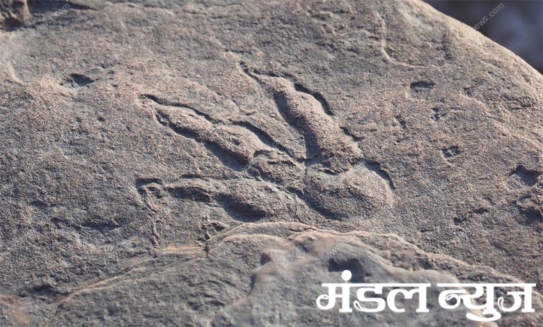 foot-prints-amravati-mandal