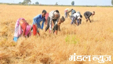 photo-caption-amravati-mandal