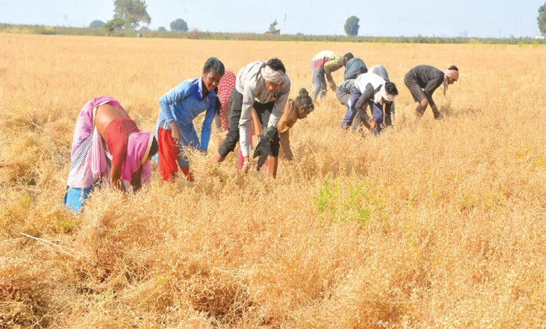 photo-caption-amravati-mandal