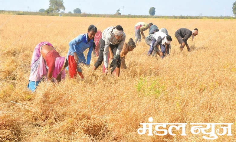 photo-caption-amravati-mandal