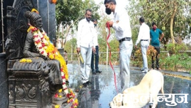 shiv-jayanti-bdds-amravati-mandal