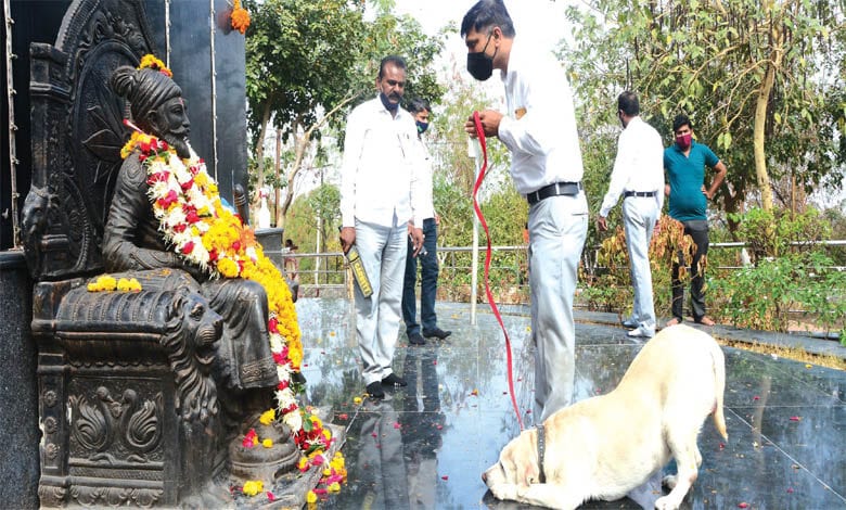 shiv-jayanti-bdds-amravati-mandal