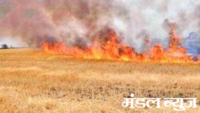 Fire-amravati-mandal