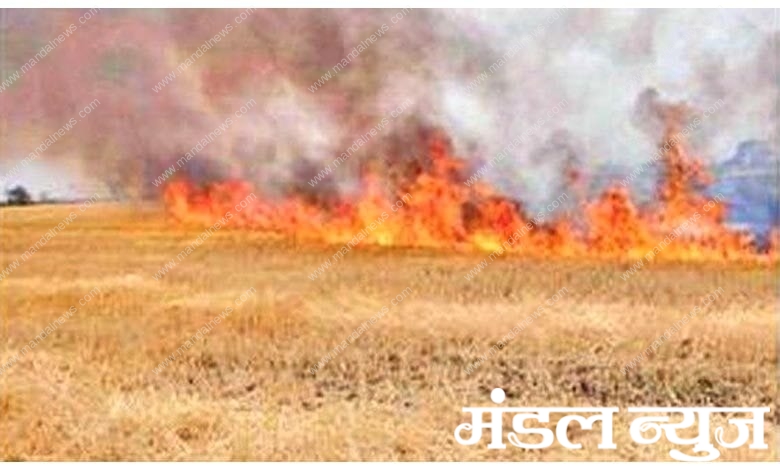 Fire-amravati-mandal