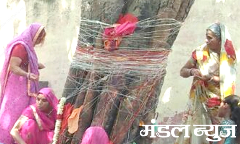 Tree-worship-amravati-mandal