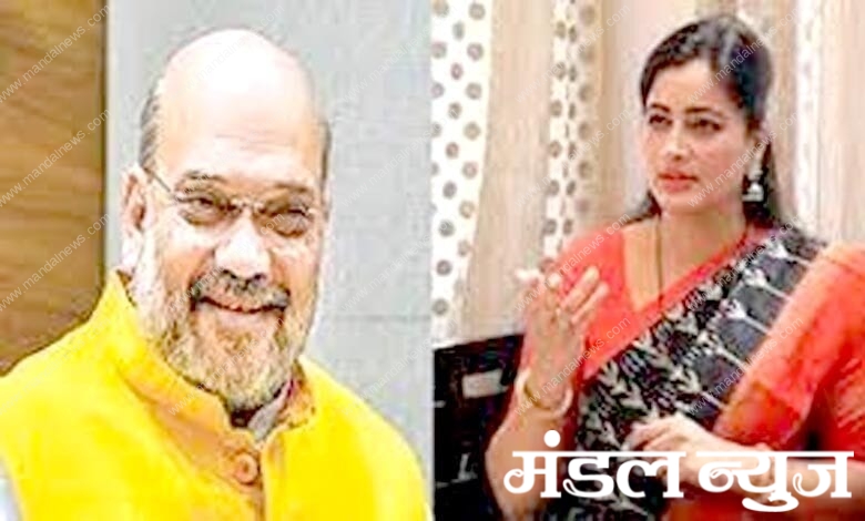 navneet-rana-with-amit-shah-amravati-mandal