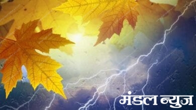 Lightning-Fall-amravati-mandal