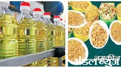 Edible-oils-and-salt-industry-amravati-mandal