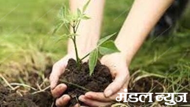 Tree-planting-campaign-amravati-mandal
