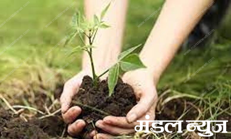 Tree-planting-campaign-amravati-mandal