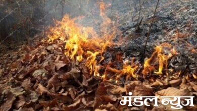 Burning-Forest-amravati-mandal