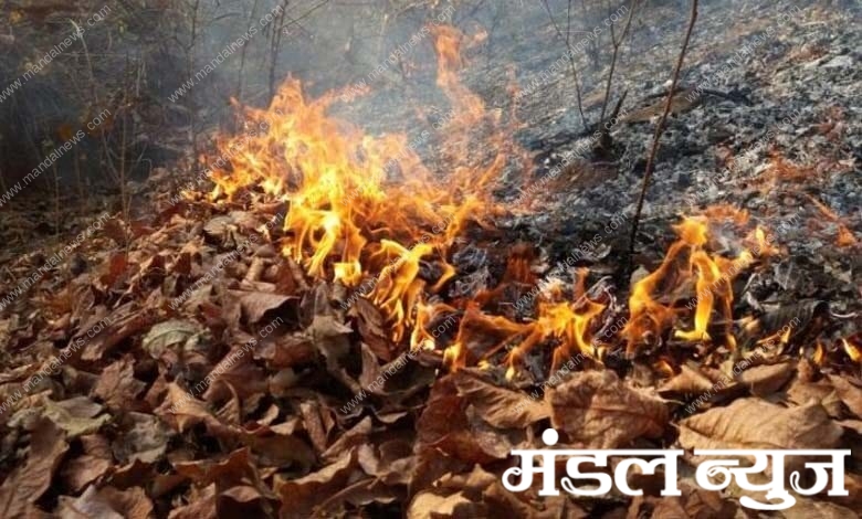 Burning-Forest-amravati-mandal