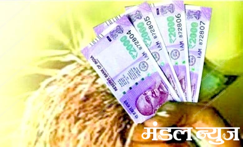 Farmers-loans-amravati-mandal