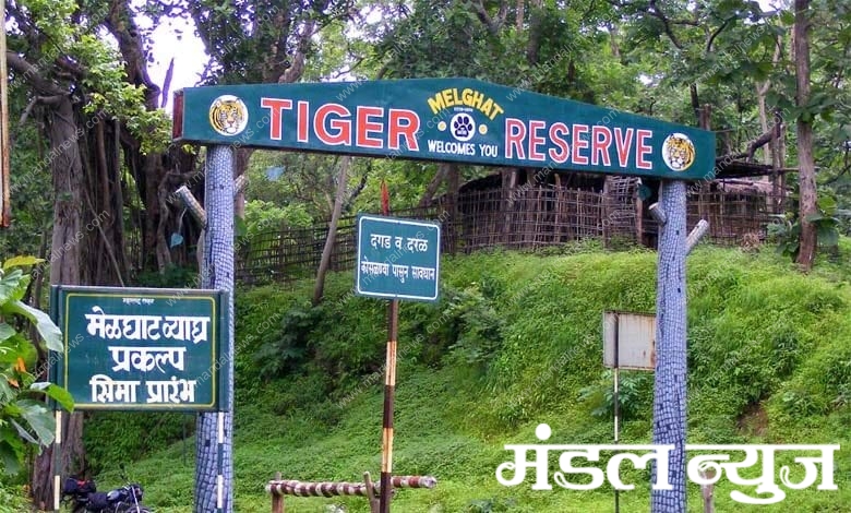 Melghat-Tiger-Project-amravati-mandal