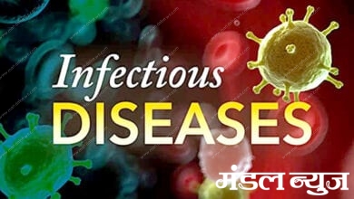 Infectious-diseases-amravati-mandal