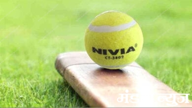 Tennis-Ball-Cricket-amravati-mandal