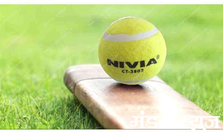 Tennis-Ball-Cricket-amravati-mandal