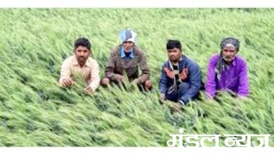 Farmers-amravati-mandal